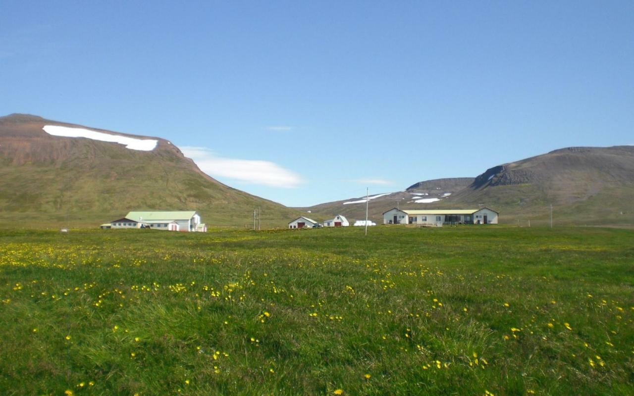 Steinnyjarstathir Skagastrond Екстериор снимка