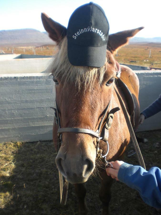 Steinnyjarstathir Skagastrond Екстериор снимка
